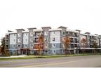 Two Bedroom Two Bath - Comox Pet Friendly Apartment For Rent Anderton Place ID