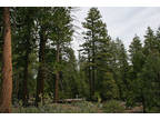 Northern California Forest Land .92 Acres/Power