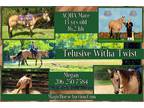 Telusive Witha Twist~Extra Classy Halter/Ranch/All Around Trail AQHA Mare~