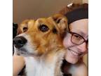 Trusted Pet Sitter in Seaforth, Ontario - $20 hr, willing to negotiate to ensure