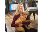 Experienced Pet Sitter in Virginia Beach, VA Trustworthy Care at $50/Day