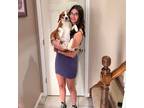 Copley Pet Sitter Offering Reliable and Genuine Care