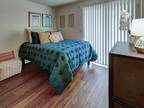 Pleasant double bedroom in Campustown