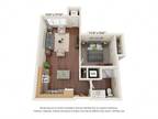 Legacy Commons at Signal Hills 55+ Apartments - One Bedroom - A