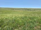 C County Road 166, Agate, CO 80105 - MLS 1614145