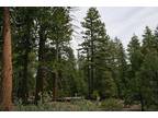 Northern California Forest Land.92 Acres/Power