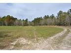 Property For Sale In Andrews, South Carolina