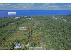 Plot For Sale In Crescent City, Florida