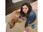 Experienced and Reliable Pet Sitter in Boulder, CO - Book Now for Professional