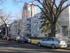 1 Bedroom - Edmonton Apartment For Rent Boyle Street 1 & 2 Bedrooms Available ID