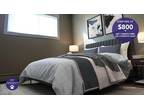 2 bedroom - Saskatoon Pet Friendly Apartment For Rent Pleasant Hill Gemini