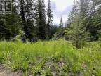 Lot 131 Vickers Trail, Anglemont, BC, V0E 1M8 - vacant land for sale Listing ID