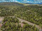 Plot For Sale In Mccall, Idaho