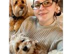 Experienced and Trusted Pet Sitter in King Of Prussia(suburbs)/Philadelphia PA -
