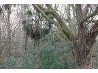 Plot For Sale In Hollywood, South Carolina