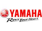 2024 Yamaha YZ450F