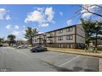 Flat For Rent In Frederick, Maryland