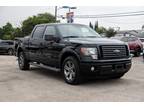 2010 Ford F-150 Platinum for sale