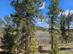 Property For Sale In Red Feather Lakes, Colorado