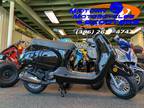 2024 Wolf Lucky Scooter 49cc - Daytona Beach,FL