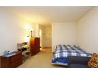 Furnished State College, Centre County room for rent in Studio Apartment