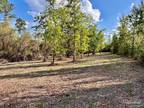 Plot For Sale In Pace, Florida