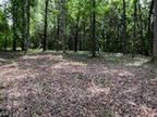 Plot For Sale In Charlotte, Tennessee