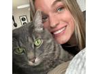Experienced & Caring Pet Sitter in Appleton, WI $40/hr - Book Now!