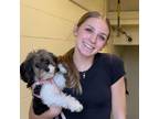 Experienced and Reliable Pet Sitter in Downers Grove, IL