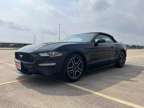 2023 Ford Mustang for sale