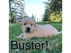 Buster!