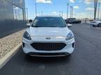 used 2020 Ford Escape SE 4D Sport Utility