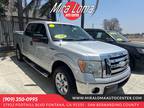 2009 Ford F-150 XL for sale