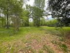 Plot For Sale In Nauvoo, Alabama