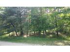 Alger, ALL SPORTS 330 ACRE FOREST LAKE DEEDED ACCESS!