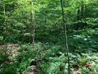 Plot For Sale In Fenton, New York