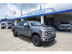 2024 Ford F-250 Gray, 22 miles