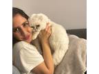 Experienced Pet Sitter in Montreal, Quebec - Trustworthy & Affordable Care