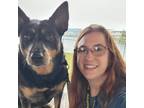 Experienced Pet Sitter in Dunnellon, FL - Trustworthy Care at $30/hr