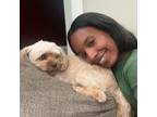 Experienced & Reliable Pet Sitter in Brooklyn, NY - $20 Daily!