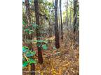 Plot For Sale In Merry Hill, North Carolina