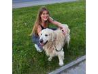 Experienced and Reliable Pet Sitter in Carlsbad, CA $25/Hour