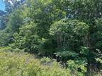 Plot For Sale In South Pittsburg, Tennessee