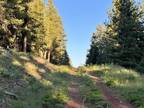 N. California Land.91 acres for Rent