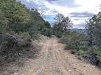 Radio Tower Road, Pinos Altos, NM 88053 642536694