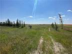 RM of Elton, Manitoba, R0K 1C0 - vacant land for sale Listing ID 202406266
