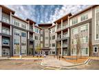 2313, 681 Savanna Blvd NE - Calgary Apartment For Rent Savanna Brand new condo