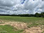 Plot For Sale In Lucedale, Mississippi