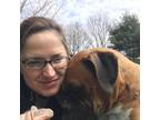 Experienced Dog Sitter in South Boston, MA Trustworthy/Loving Care at $25/hr