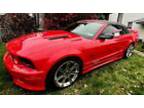 2006 Ford Mustang Saleen 281 super charged convertible #354 very low miles!!!!